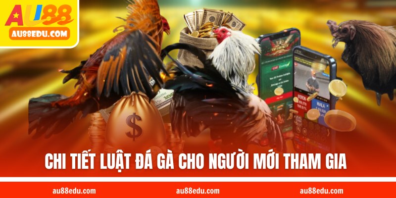 Chi tiết luật đá gà cho người mới tham gia