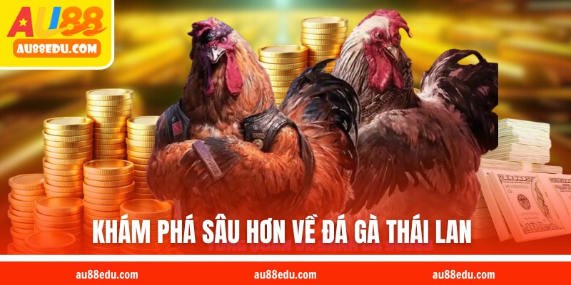 Khám phá thông tin về đá gà Thái Lan