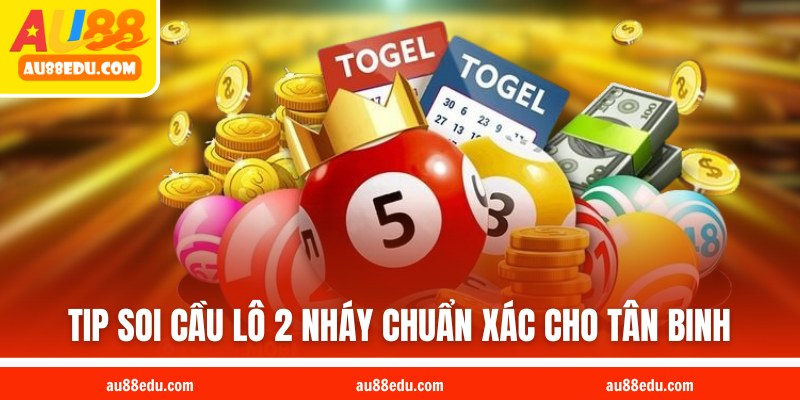 Tip soi cầu lô 2 nháy chuẩn xác cho tân binh